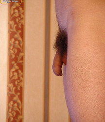 Willy 56f81a1755dbe.jpg