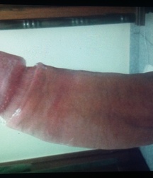 Brazilian guys (part 04) 58d9b8d4534ff.jpg