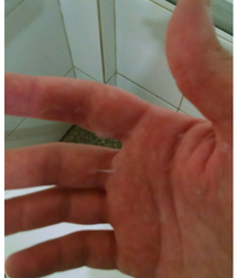 Brazilian guys (part 04) 58d9bdad8adb4.png