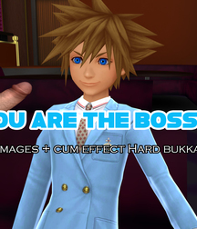 Kingdom Hearts 5ab70cf5e0cb8.jpg