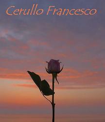 Francesco777 594b8e4244788.jpg