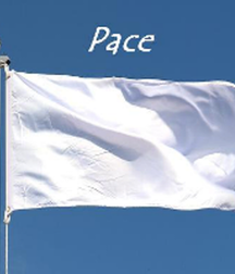 Francesco777 594b8e6bc2f5c.png