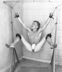 humilated boys from the net 001 58550a7568ee5.jpg