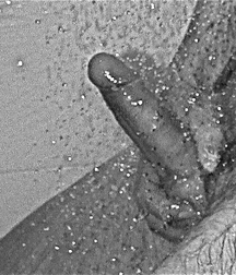 me in the shower 576ea205a5f6c.jpg