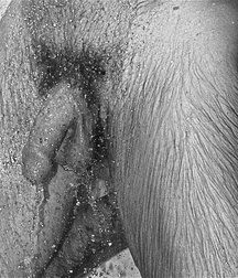 me in bw and hard 585c003f3ae6b.jpg