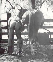 Cowboys 5 57dfe1a5cd797.jpg