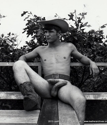 Cowboys 5 57dfe1ad04945.jpg