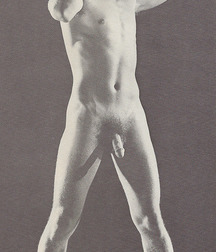 Cowboys 7 5ba65f6c4de9a.jpg