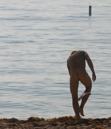 Beach Bums 593649a22441b.jpg