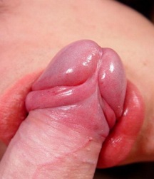 Cock Smokers 593711376a8db.jpg