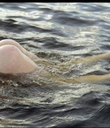 Summertime Booty is a Thing of Beauty 593c5b7eee452.jpg