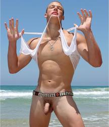 Stanley at the Beach 596bde01200e4.jpg