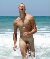 Stanley at the Beach 596bde1389f94.jpg