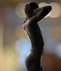 Ass Assortment 5a09e69c45a4d.jpg