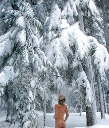 Wanking in a Winter Wonderland 5a1b4fdc7fec5.jpg