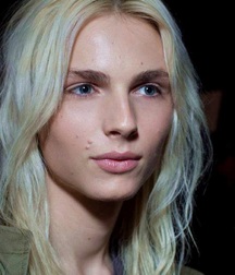 Androgynous Andrej Pejic 5a8a707259a7b.jpg