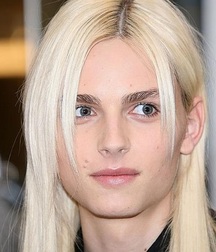 Androgynous Andrej Pejic 5a8a708c9d8d8.jpg