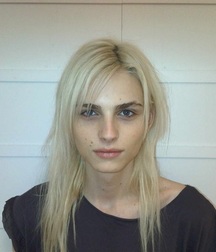 Androgynous Andrej Pejic 5a8a7090c6db8.jpg