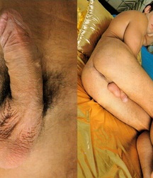 Euroboys 5b05814898cfb.jpg