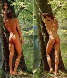 Rump! 5b37cf3f51584.jpg