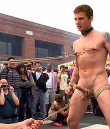 Sorry, I'm a Little Tied Up Right Now 5ba54cf787ee6.jpg