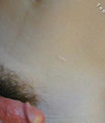 Tony 57978db879237.jpg