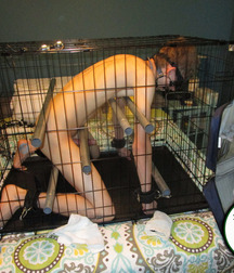 Slaves bugwars gay teen porn 604e630ed4949.jpg