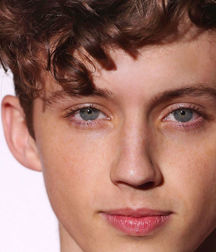 TROYE SIVAN including 'almost full frontal nude' photo 57dd7a1c2f2eb.jpg