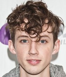TROYE SIVAN including 'almost full frontal nude' photo 57dd7a1f40dd0.jpg