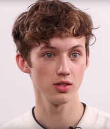 TROYE SIVAN including 'almost full frontal nude' photo 57dd7a21bffb7.png