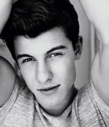SHAWN MENDES Shirtless 5868821165d55.jpeg