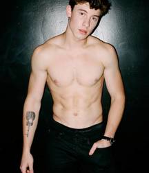 SHAWN MENDES Shirtless 58688225c54ff.jpeg