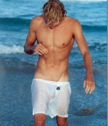 Beach Boy's 56e35ebe217fe.jpg