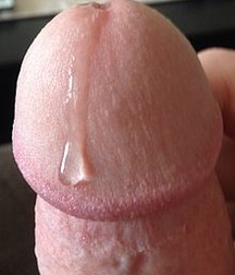 Pre Cum 5706a623be4dc.jpg