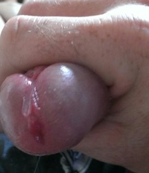 Pre Cum 5706a63a3d503.jpg