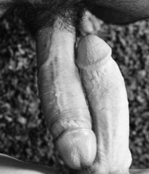 Photo Shoot vol.2 B&W Photos 573239a909eb7.jpg