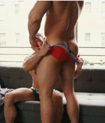 Asses 5740efc816f1d.jpg