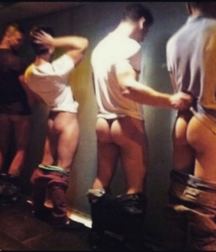 Asses 5740efcc1df0d.jpg
