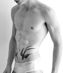 Body Art vol.2 5740f15340b7c.jpg