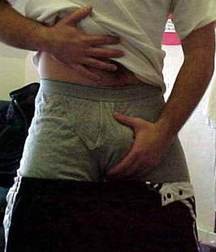 Buldges 2 574e96c2db93f.jpg