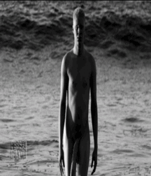 Strictmentors Gif's 1 57e56eed7c778.gif