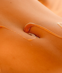 PERFECT KINKY NAVELS 59158b85c197d.jpg