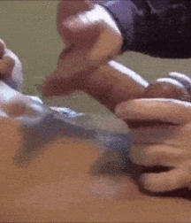 Gay couples 2 5b1b93cd8b1af.gif