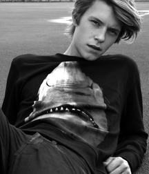 Non Nde 3 5a54f5088efb2.jpg