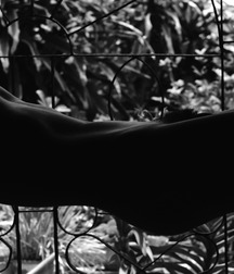 Artistic pics 5ab45a8f8c4aa.jpg