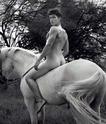Sexy asses 3 5914ac8eb6863.jpg