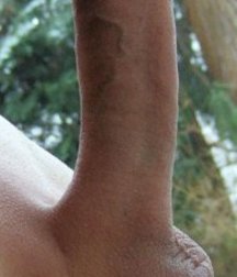 Shaved cocks 5c6c7086a04de.jpg