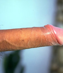 Black cocks 3 5c76c668374ce.jpg