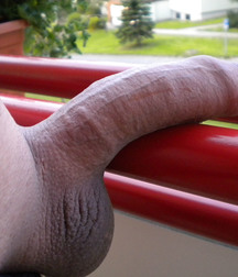 Black cocks 8 5c942c9776efd.jpg