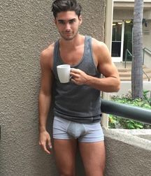 Bulges 2 5ca0fea541297.jpg